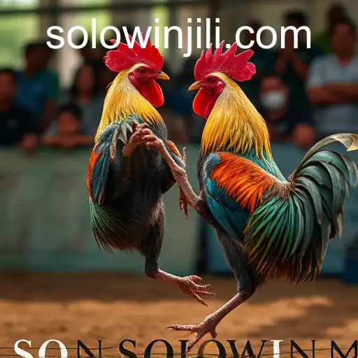 Exploring the World of Sabong Games: A Deep Dive into SOLOWIN